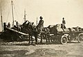 Landing stores with mules, Gallipoli, ca 1915.jpg