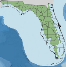 Map of Florida during the Late Pliocene.