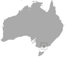 Leadbeater Possum area.png