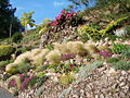 La rocaille des Jardins du Gué à Lhoumois.