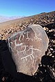 Llamas at La Silla[42]