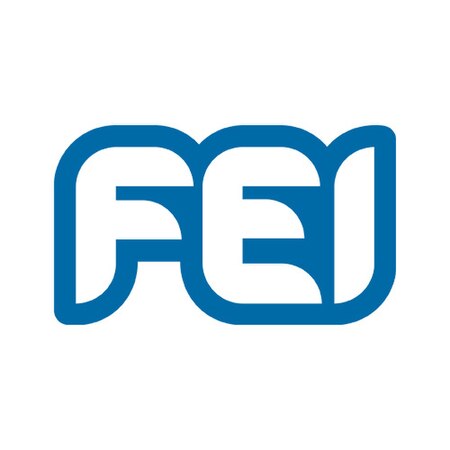 Logo FEI