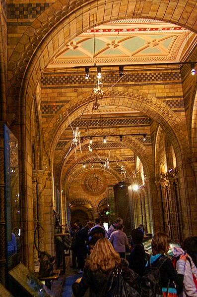 File:London - Cromwell Road - Natural History Museum II.jpg