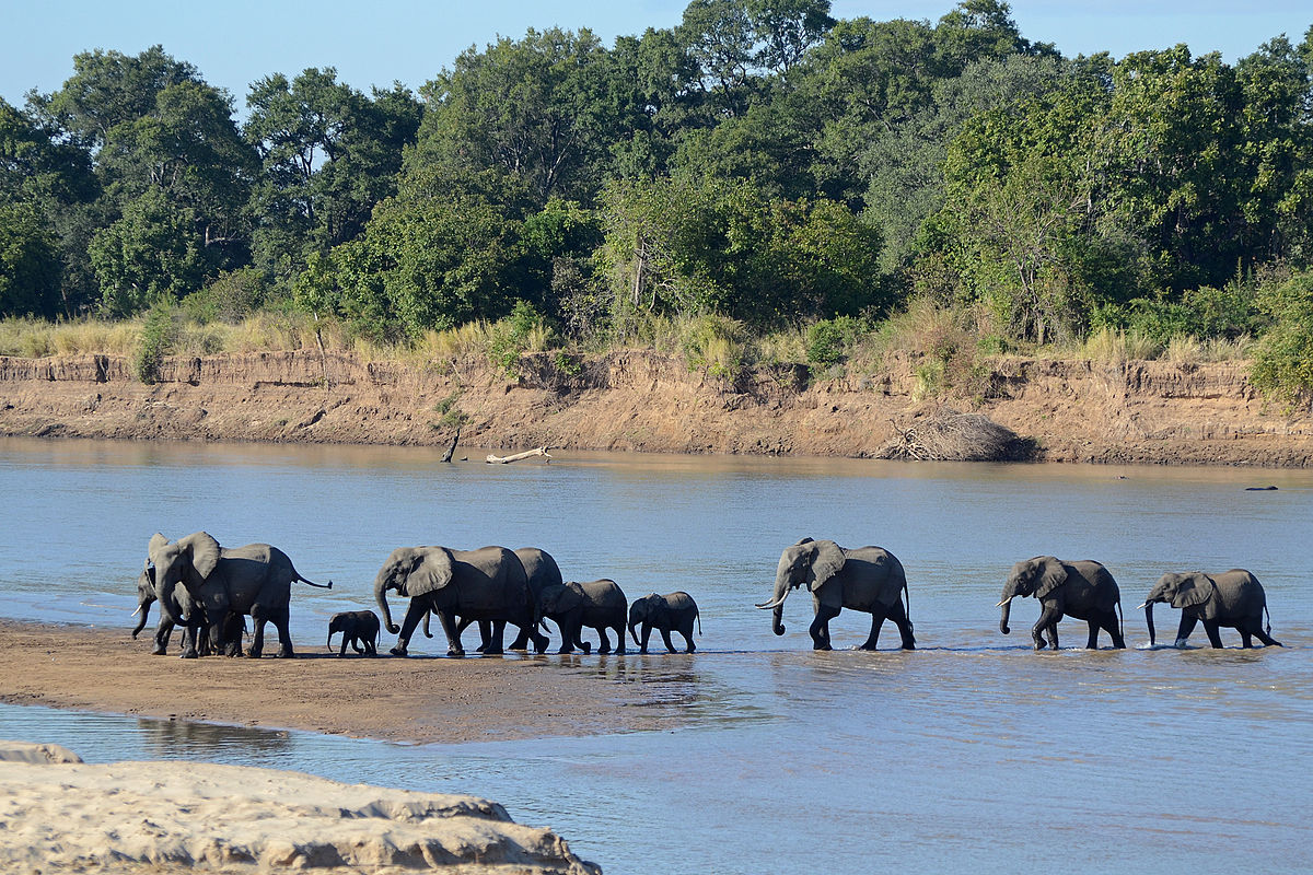 South Luangwa National Park - Wikipedia