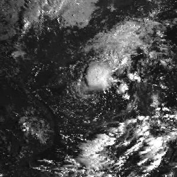 1984 Pacific typhoon season