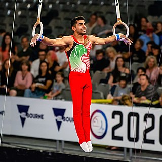 <span class="mw-page-title-main">Mehdi Ahmadkohani</span> Iranian gymnast