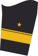 Sleeve badge of the jacket (service suit) of a flotilla admiral (troop service)