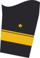 Rank badge of a flotilla admiral (troop service) on the lower sleeve of the jacket of the service suit for naval uniform wearers