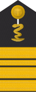 Schulterklappe für Marineuniformträger (Apotheker).