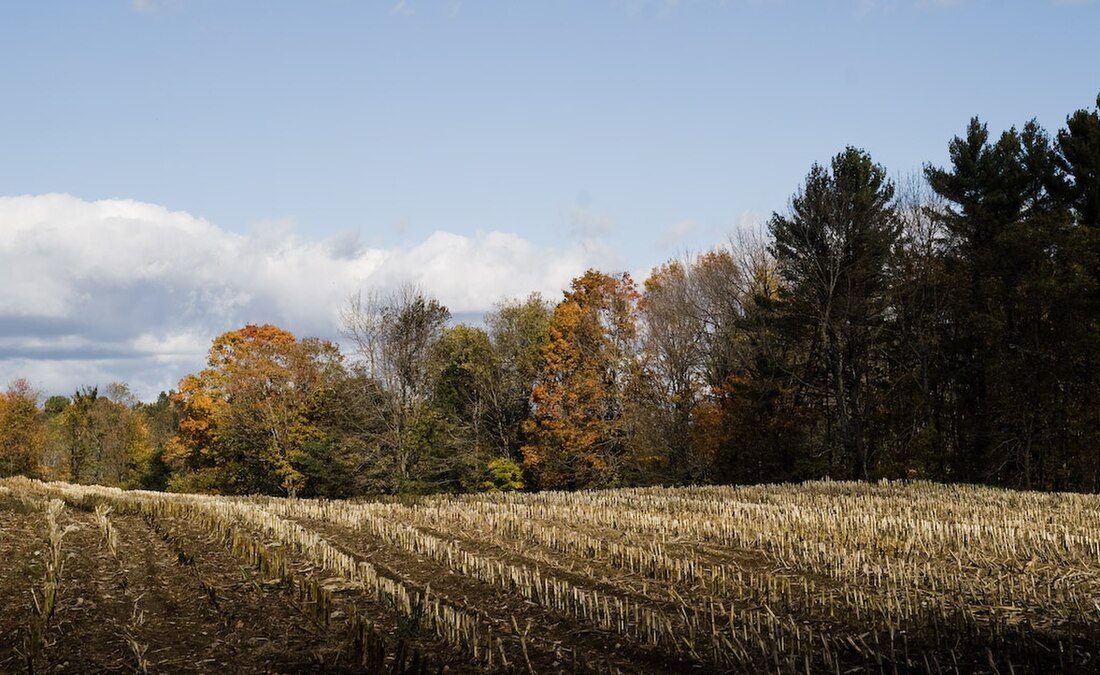 Cornville (Maine)