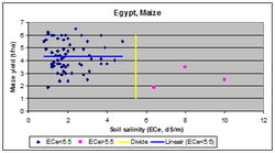 The maize crop (corn) in Egypt has a salt tolerance of ECe=5.5 dS/m beyond which the yield declines Maize egypt.png