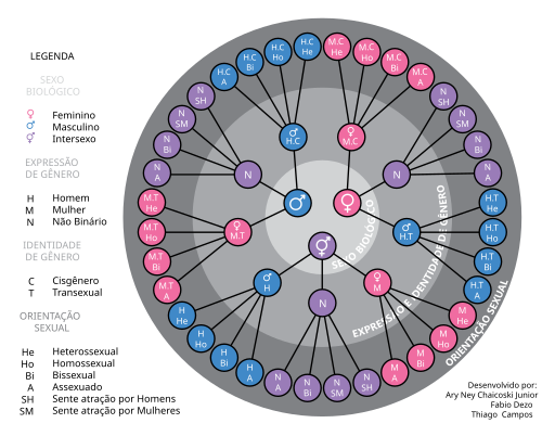 Identidade de Gênero: o que é e quais os tipos (trans, cis, não-binário) -  Enciclopédia Significados