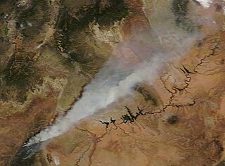 <span class="mw-page-title-main">Mangum Fire</span> 2020 Arizona wildfire