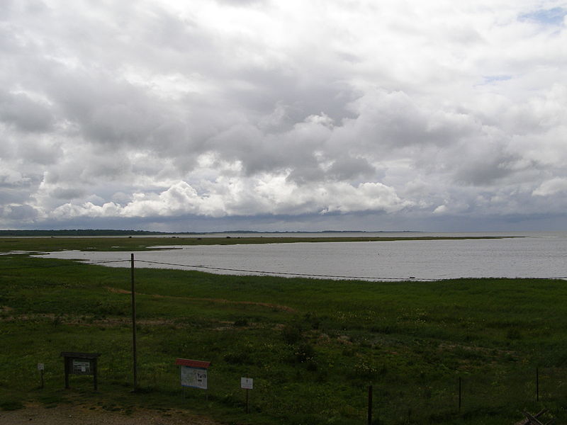 File:Matsalu view.jpg