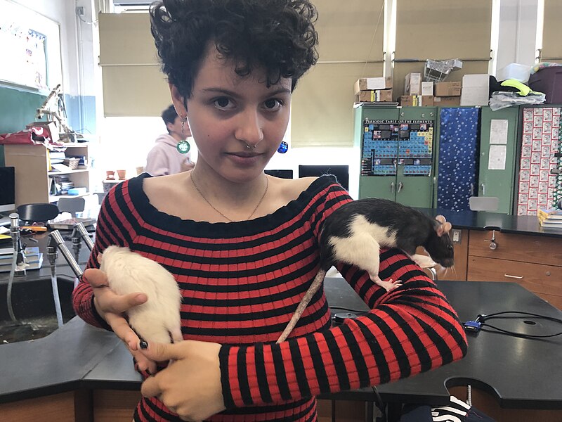 File:Maya Delmont two rats, 2019.jpg