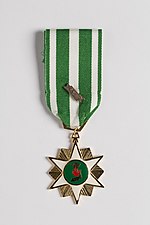 Thumbnail for Vietnam Campaign Medal