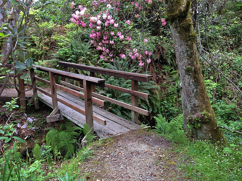 File:Mendocino Coast Botanical Gardens.jpg