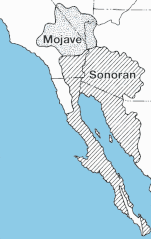 Mojave-Sonoran.gif