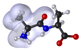 Modèle moléculaire 3D de l'alanine aminopeptidase. (définition réelle 2 620 × 1 628)