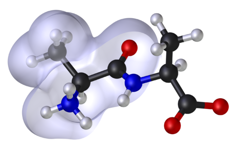 Molecular Modeling