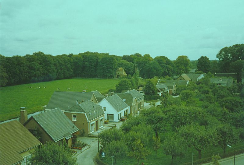 File:Molen Oog in 't Zeil, Cothen (85).jpg