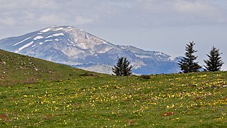 Vue du versant est de la montagne de la Frau.