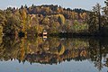 * Nomination Water reflection of an autumnal forest on the “mill” pond, Moosburg, Carinthia, Austria --Johann Jaritz 03:13, 2 November 2015 (UTC) * Promotion Good quality.--Agnes Monkelbaan 06:15, 2 November 2015 (UTC)