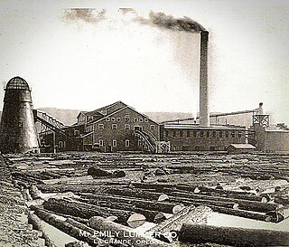 <span class="mw-page-title-main">Mount Emily Lumber Company</span>