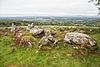 Moylisha Wedge Tomb 2016 09 13.jpg