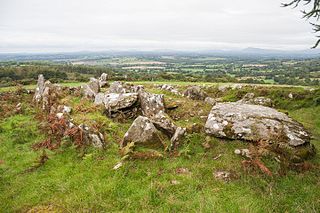 Moylisha Wedge Tomb Wedge-shaped gallery grave in County Wicklow, Ireland