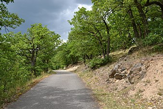 Пут кроз парк у близини Шобеза