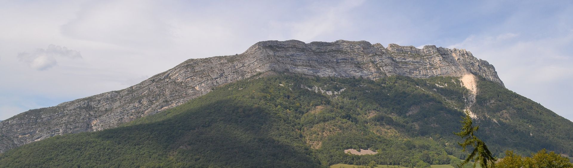 Arêtes rocheuses dominant la forêt avec un éboulis à droite.