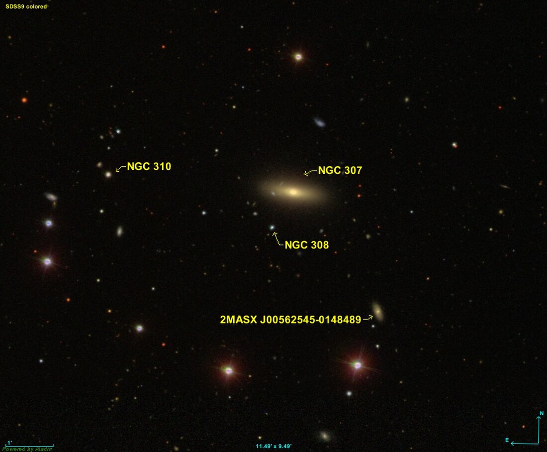 NGC 307