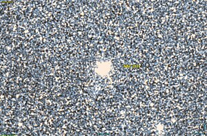 NGC 2019 DSS.jpg