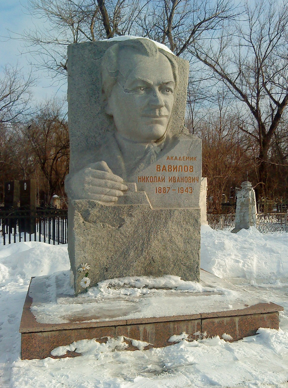 Файл:NIVavilov Voskresenskoe bust.jpg — Википедия