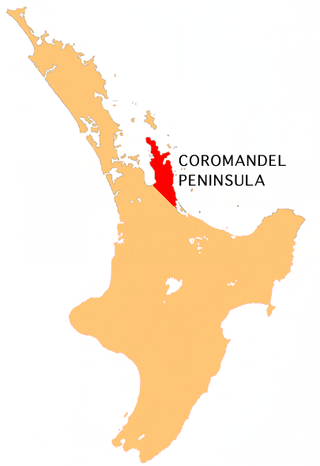 <span class="mw-page-title-main">Coromandel Peninsula</span> Peninsula in New Zealand