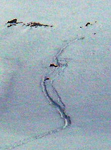 Kelsang Namtso lying in the snow after being shot and killed. Photo: Pavle Kozjek Nangpa La killings 2.jpg