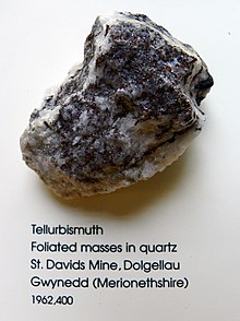 Tellurbismuth with quartz, from Dolgellau in Snowdonia National Park Natural History Museum 143 (8047045825).jpg