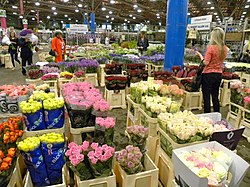 New Covent Garden Market