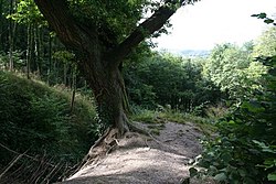 Nowy Ditch Starożytna Settlement.jpg