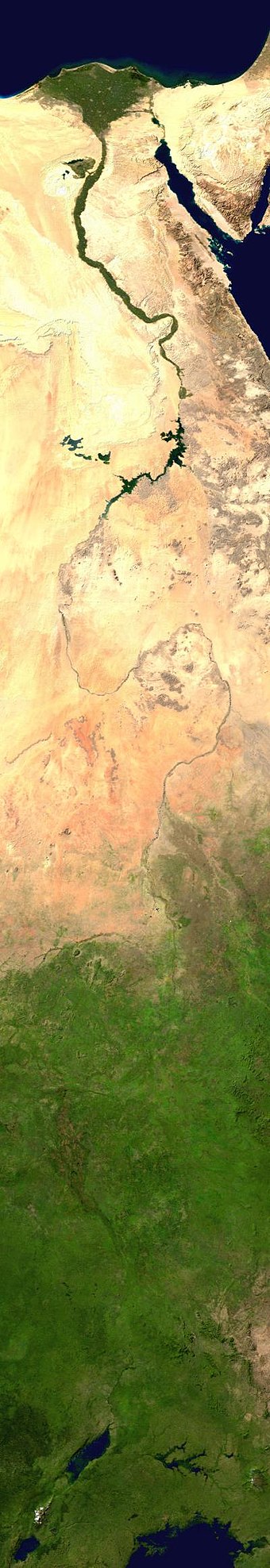 Composite satellite image of the White Nile