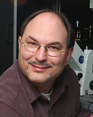 <span class="mw-page-title-main">Nils G. Walter</span> Professor of Chemistry, Biophysics, and Biological Chemistry