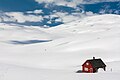 Norwegian snow desert (9879365716).jpg