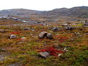 Nunavut toendra -c.jpg