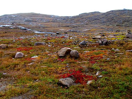 Tập_tin:Nunavut_tundra_-c.jpg