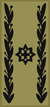 OF-6 - Brigadier Général.png