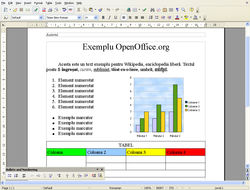 Openoffice.org