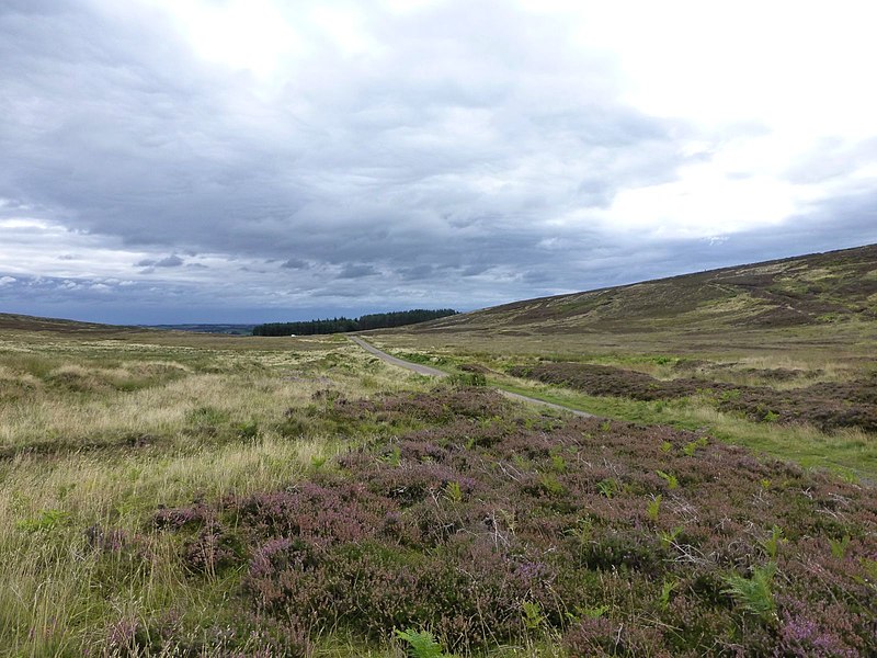 File:On Birky Hill - geograph.org.uk - 3646802.jpg