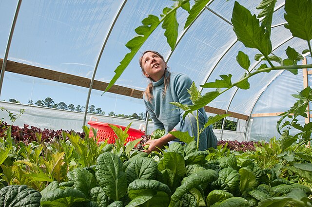 Organic farming in Virginia, USA.
