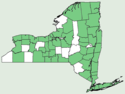 Ostrya virginiana NY-dist-map.png